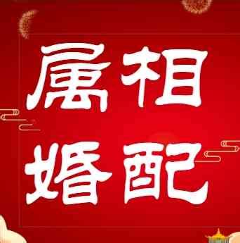 五行婚配|属相婚配,属相配对,夫妻五行属相配对,八字婚配测算